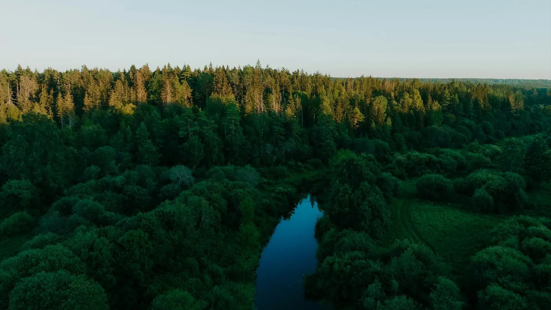 Leading in sustainability